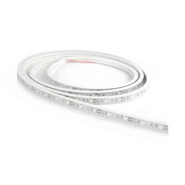 ACK AS01-05244 Şerit LED ve Neon
