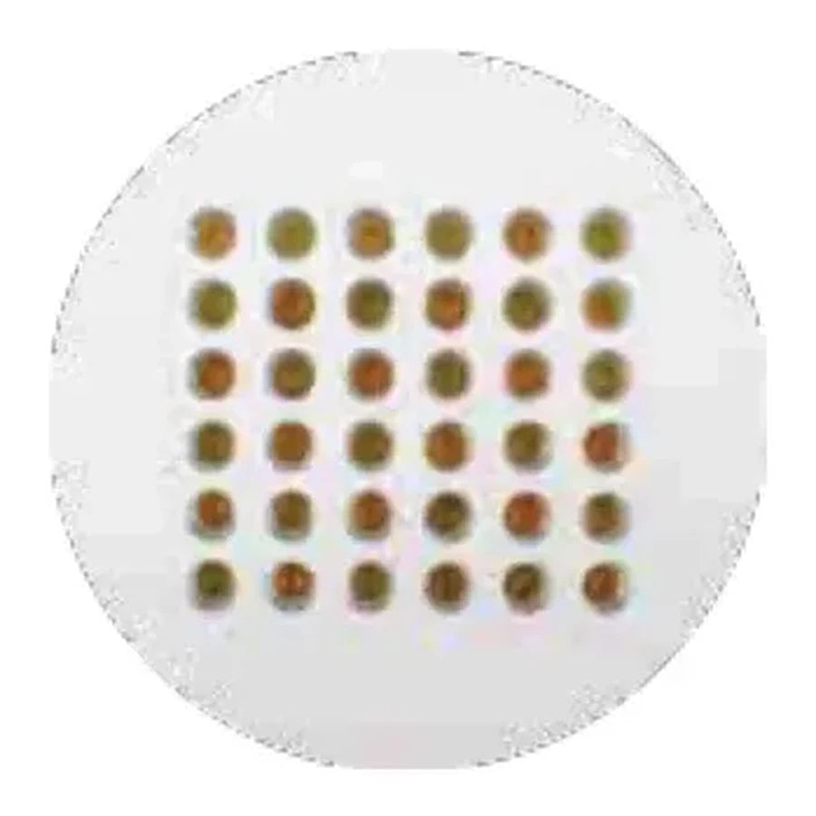 ACK Kesim Ölçüsü/Cutting Size: – AJ01-03600 ürün görseli